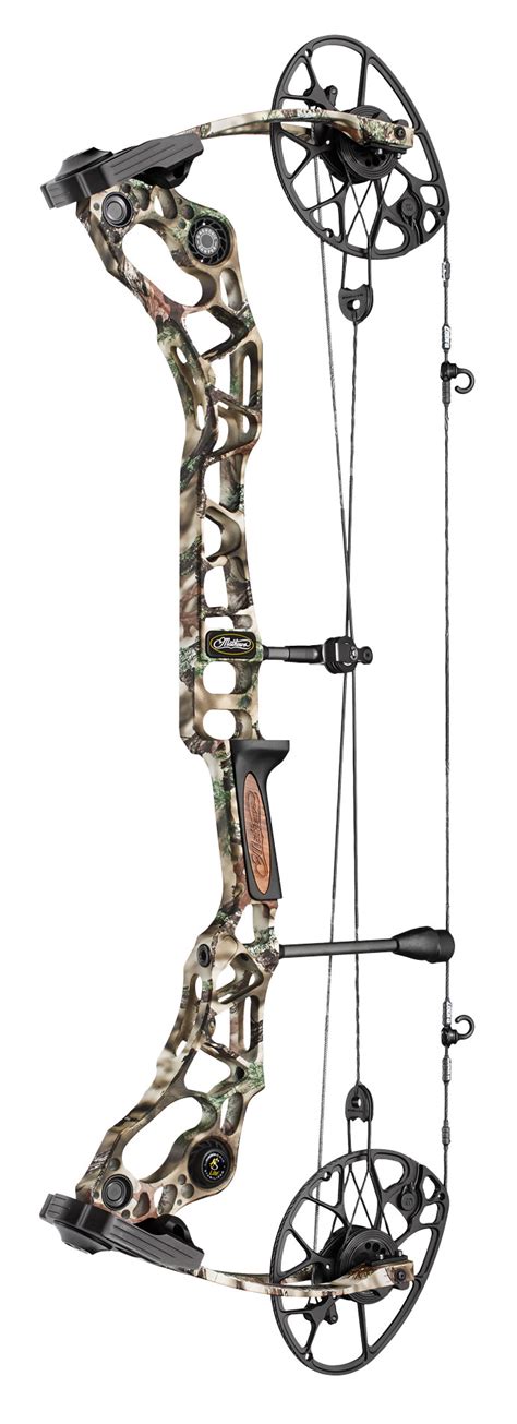 Talk Bowhunting with your neighbors. . Ct bowsite